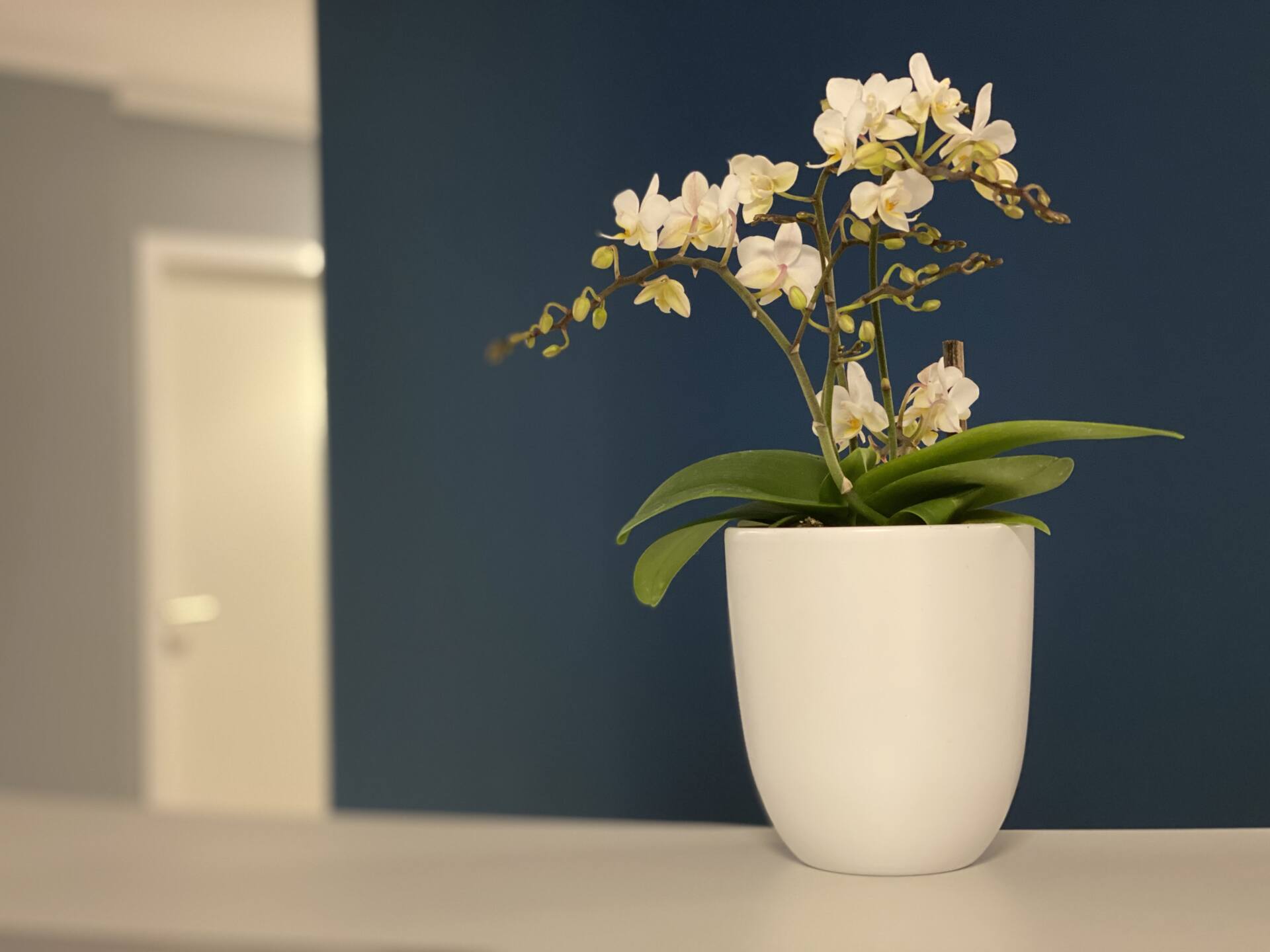 augenzentrum.one | Augenarzt in Kiel augenzentrum.one | Augenarzt in Kiel